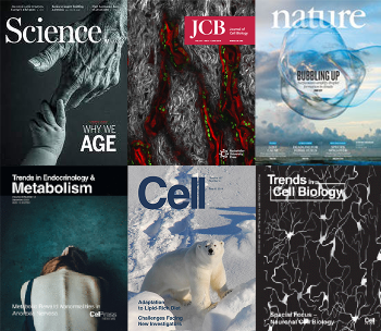 Collage of pictures of covers of scientific journals
