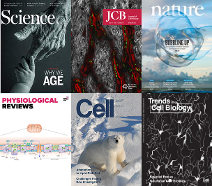 Collage of covers from scientific journals